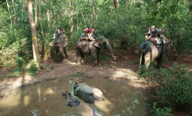 Kathmandu Chitwan Tour